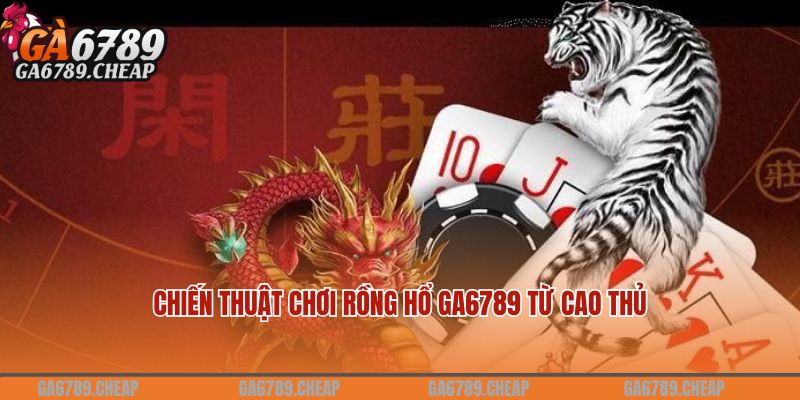 Chiến thuật chơi Rồng hổ Ga6789 từ cao thủ