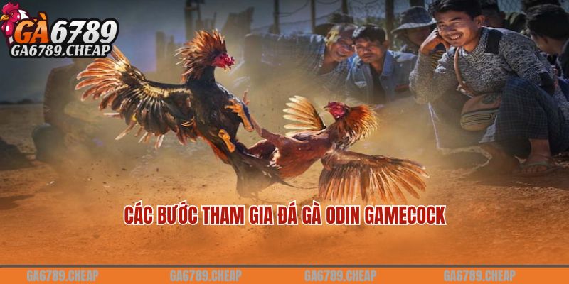 Các bước tham gia đá gà ODIN Gamecock tại nhà cái GA6789