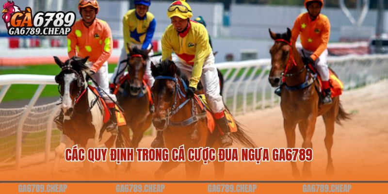 Các quy định trong cá cược đua ngựa GA6789