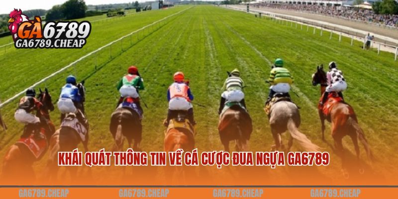 Khái quát thông tin về cá cược đua ngựa GA6789