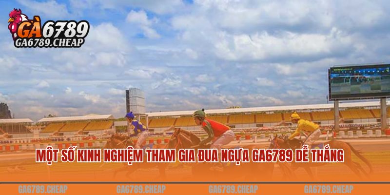 Một số kinh nghiệm tham gia đua ngựa GA6789 dễ thắng