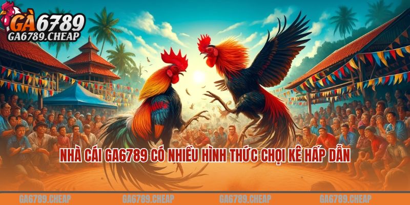 Nhà cái Ga6789 có nhiều hình thức chọi kê hấp dẫn