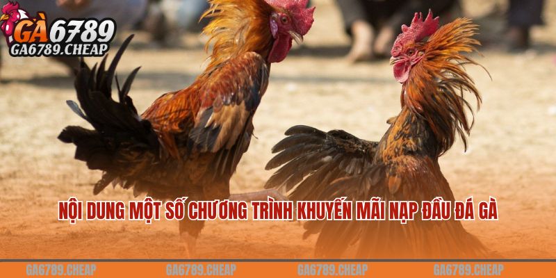 Nội dung một số chương trình khuyến mãi nạp đầu đá gà GA6789