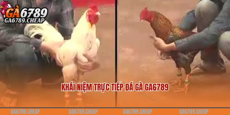 Khái niệm trực tiếp đá gà GA6789 là gì? 